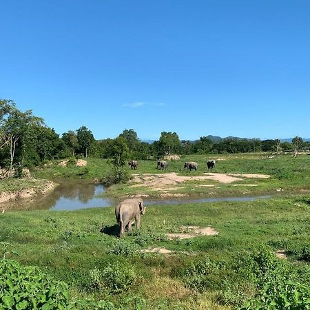 I Love Phants Lodge Ban Huai Thawai Экстерьер фото