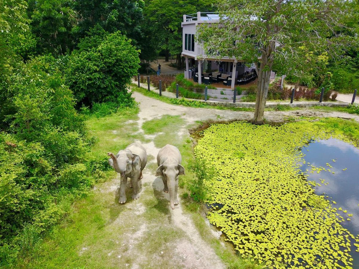 I Love Phants Lodge Ban Huai Thawai Экстерьер фото