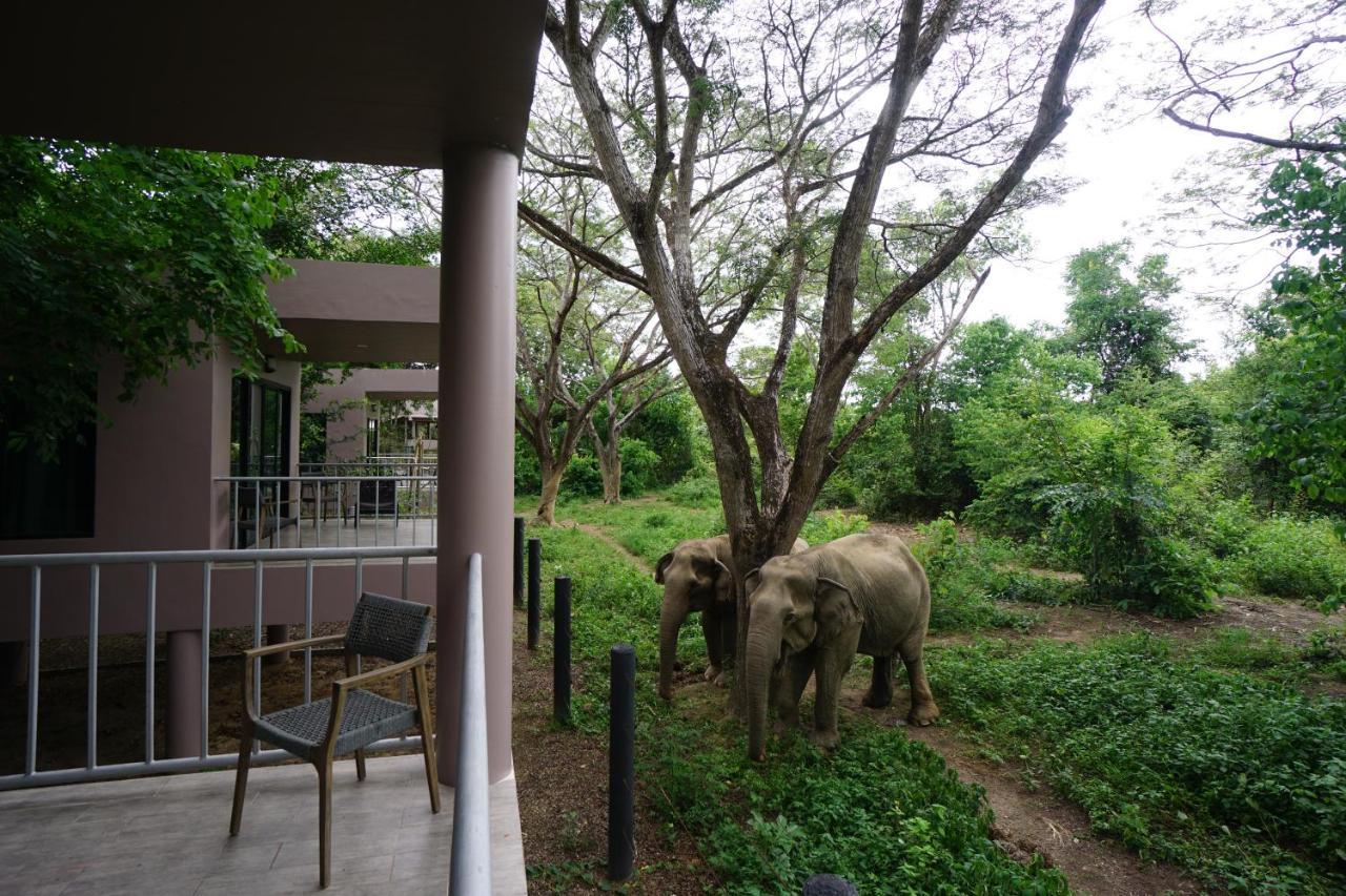 I Love Phants Lodge Ban Huai Thawai Экстерьер фото