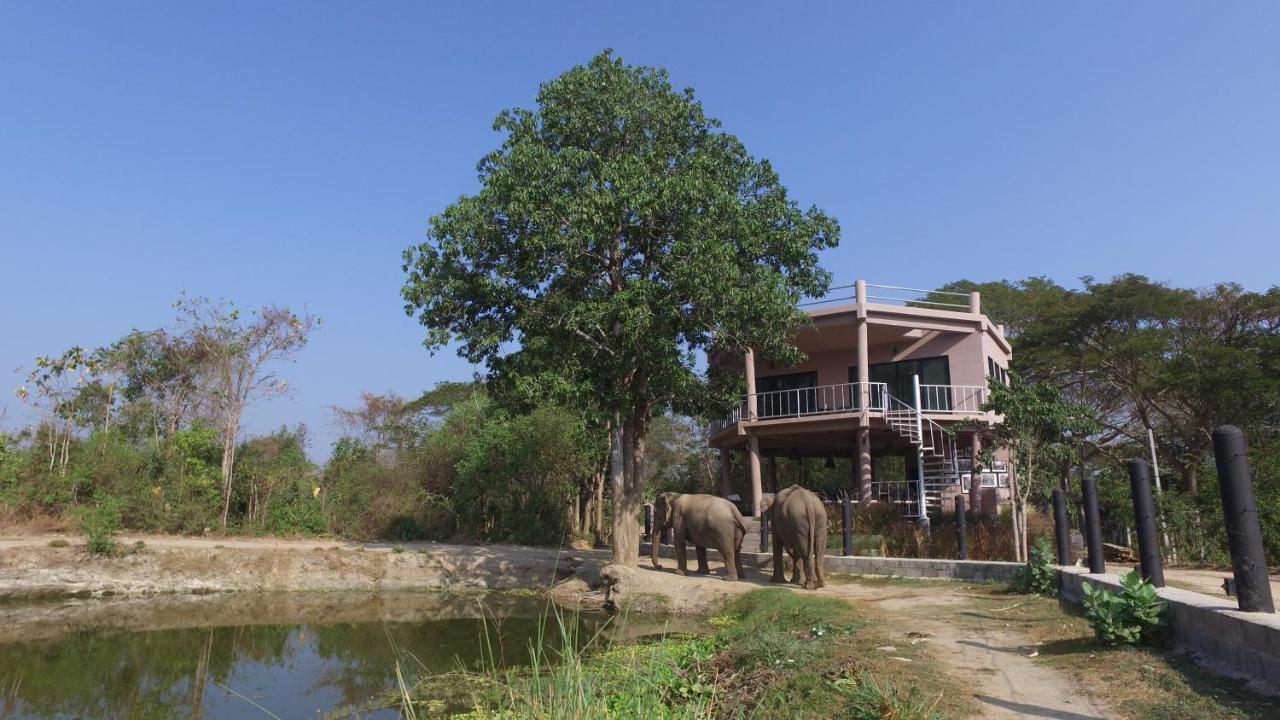 I Love Phants Lodge Ban Huai Thawai Экстерьер фото
