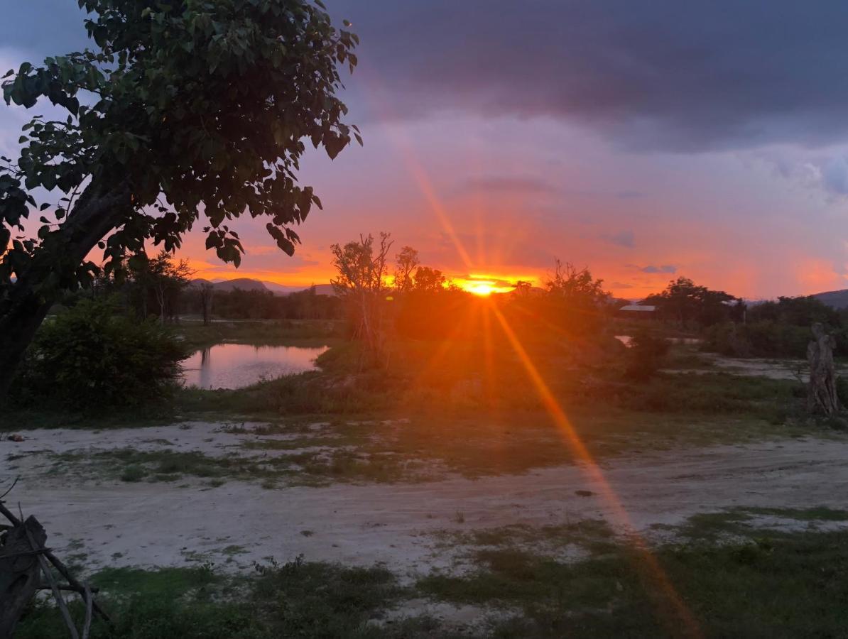 I Love Phants Lodge Ban Huai Thawai Экстерьер фото
