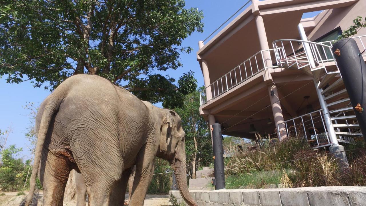 I Love Phants Lodge Ban Huai Thawai Экстерьер фото