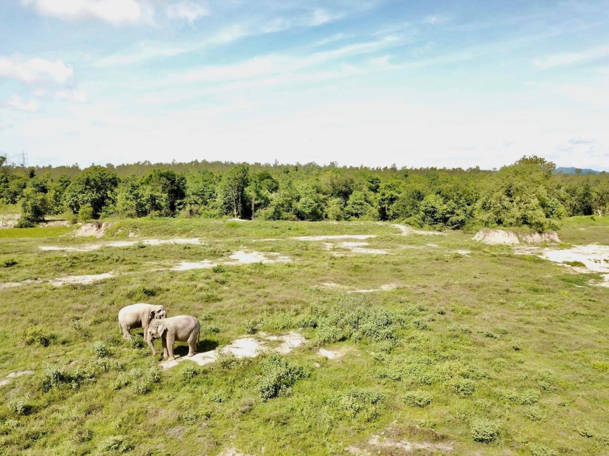 I Love Phants Lodge Ban Huai Thawai Экстерьер фото