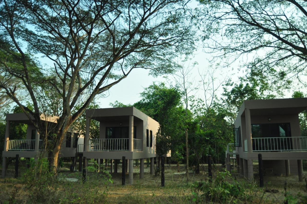 I Love Phants Lodge Ban Huai Thawai Экстерьер фото