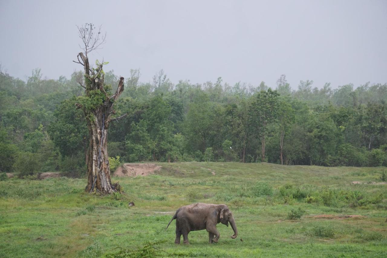 I Love Phants Lodge Ban Huai Thawai Экстерьер фото