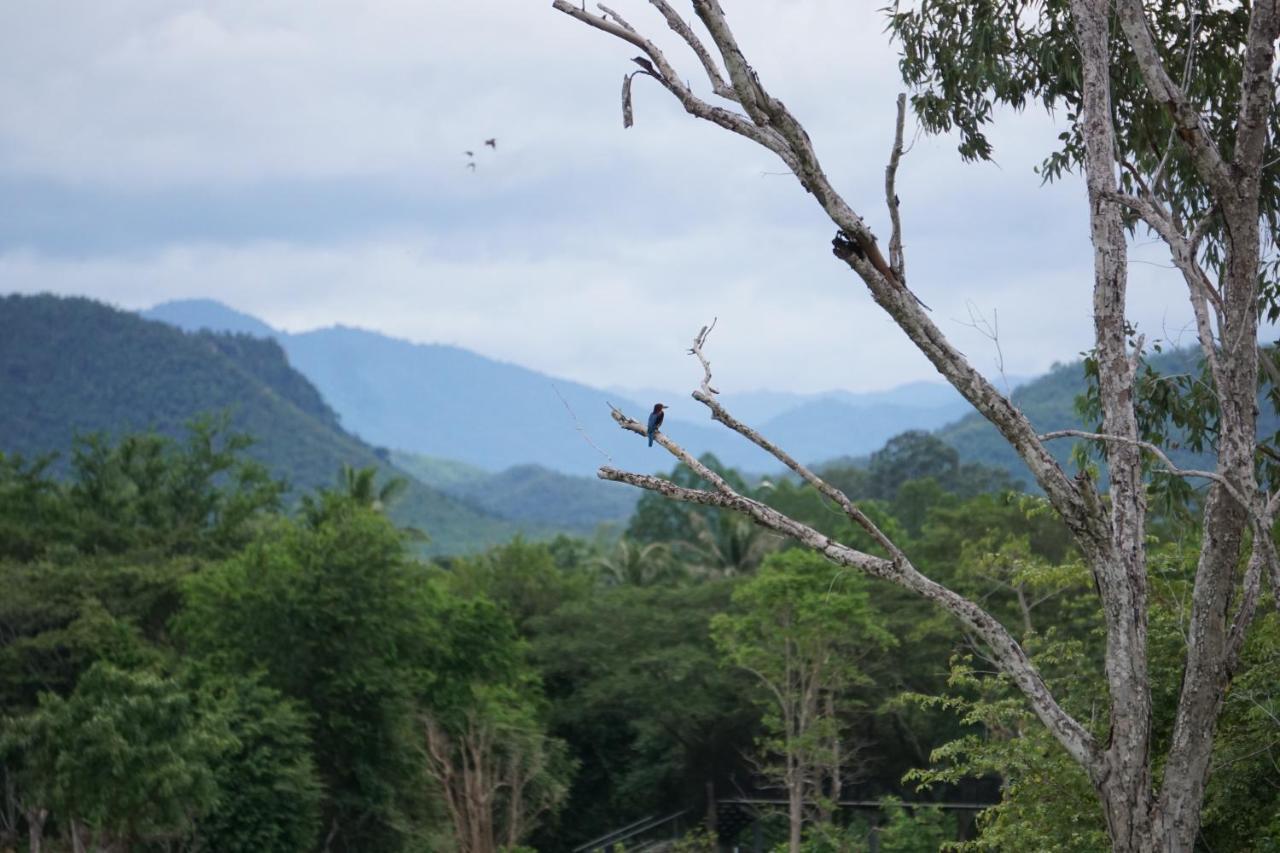 I Love Phants Lodge Ban Huai Thawai Экстерьер фото
