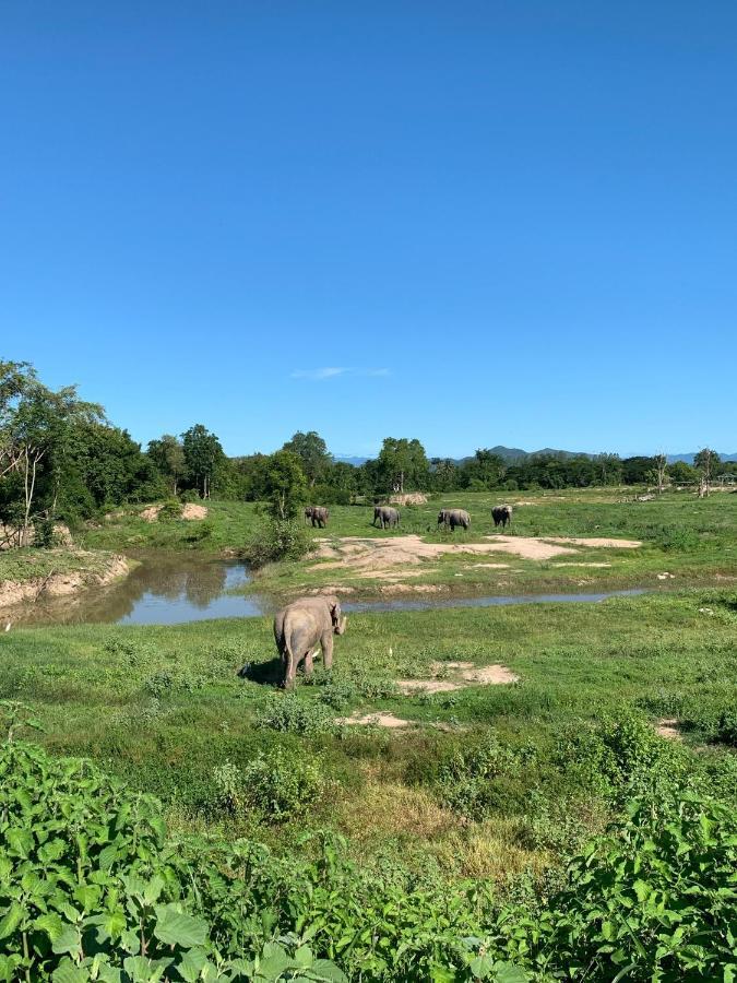 I Love Phants Lodge Ban Huai Thawai Экстерьер фото