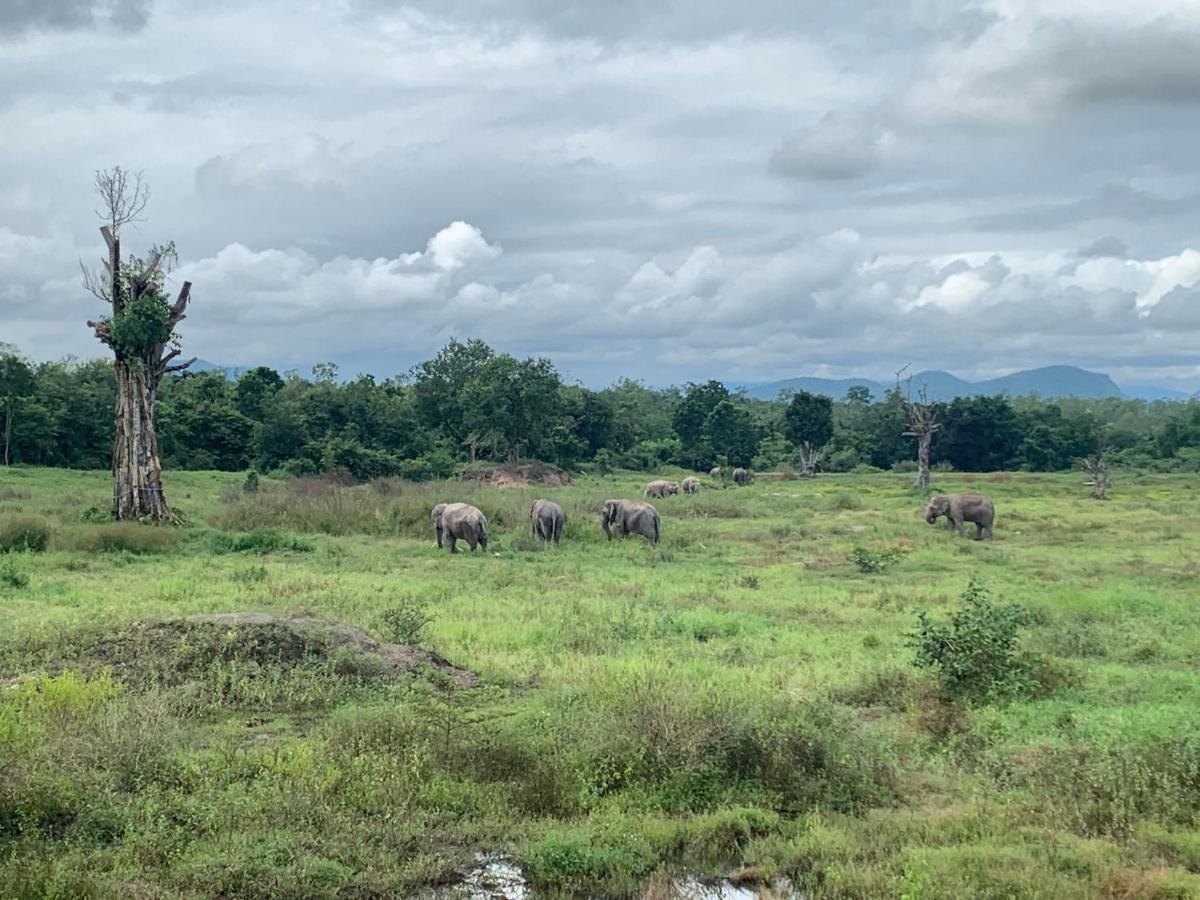 I Love Phants Lodge Ban Huai Thawai Экстерьер фото