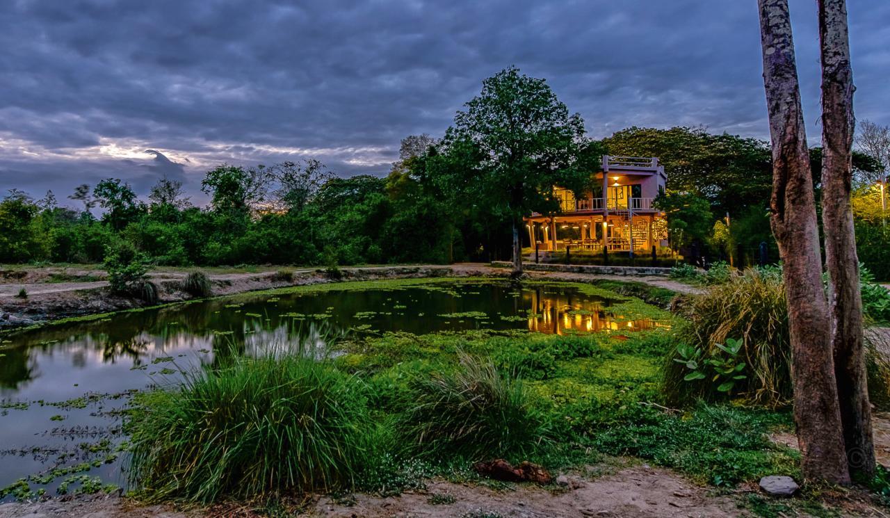 I Love Phants Lodge Ban Huai Thawai Экстерьер фото