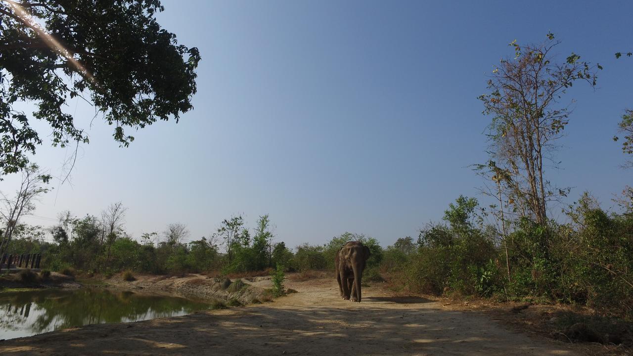 I Love Phants Lodge Ban Huai Thawai Экстерьер фото